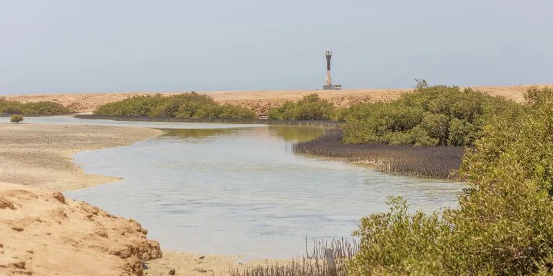 Snorkeling à Ras Mohamed